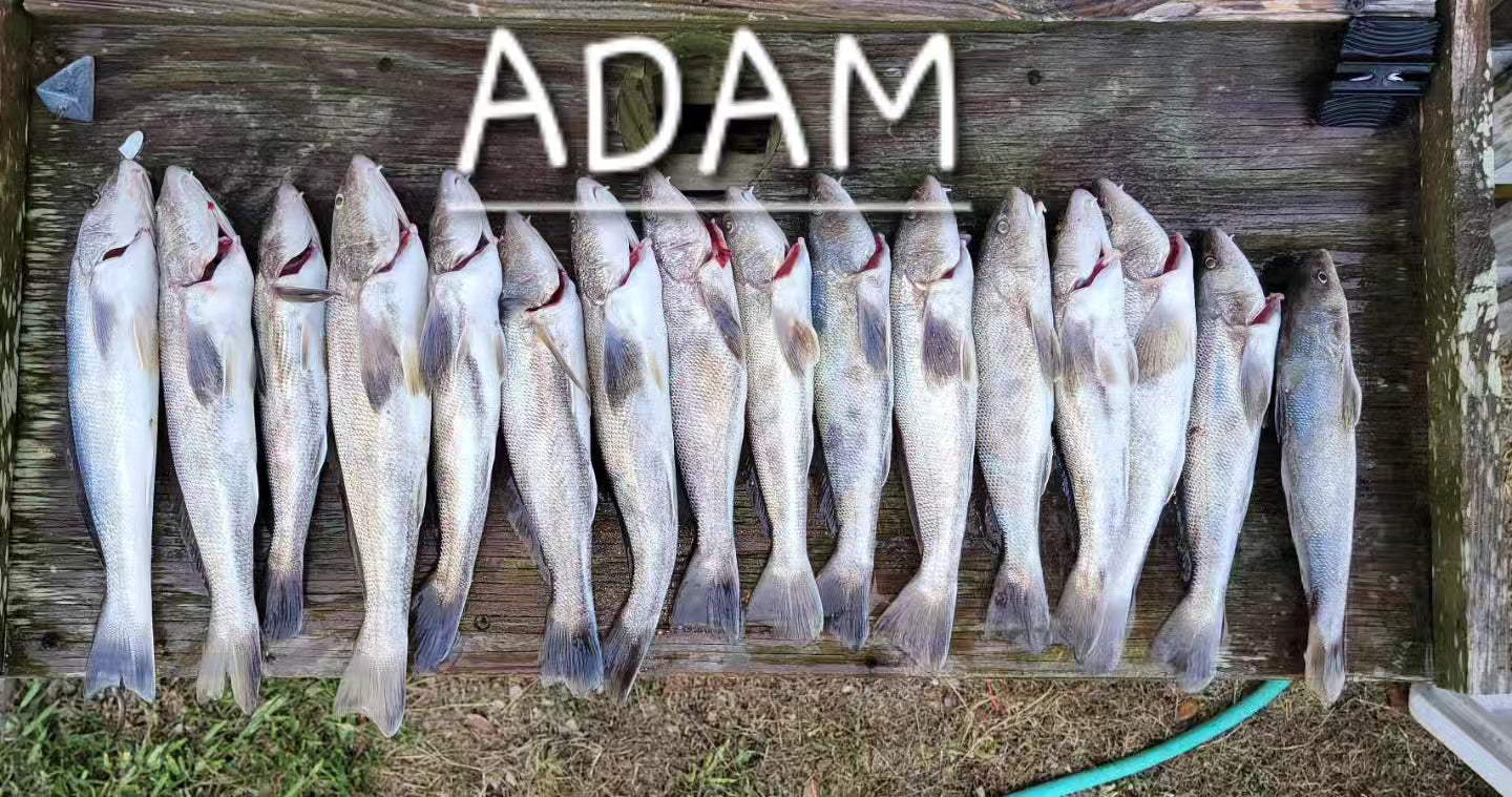 π² Adam's Black Drum Rig