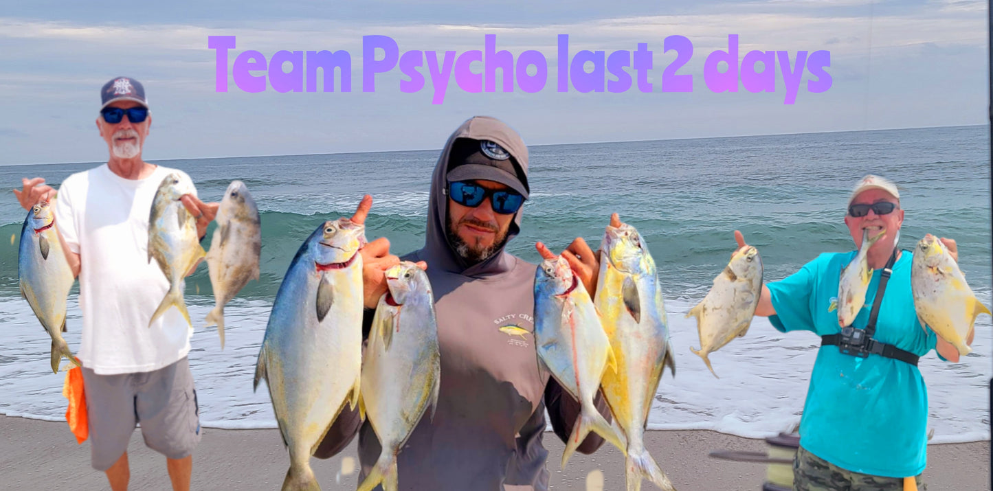 💲 Coquina Clam 🔥DYNAMIC🔥
