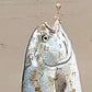 (FLOATING HOOK) "PHAT" Sand Flea with Eggs Pompano Rig