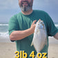 GOLD 'n' EGGs Pompano Rig