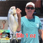 GOLD 'n' EGGs Pompano Rig