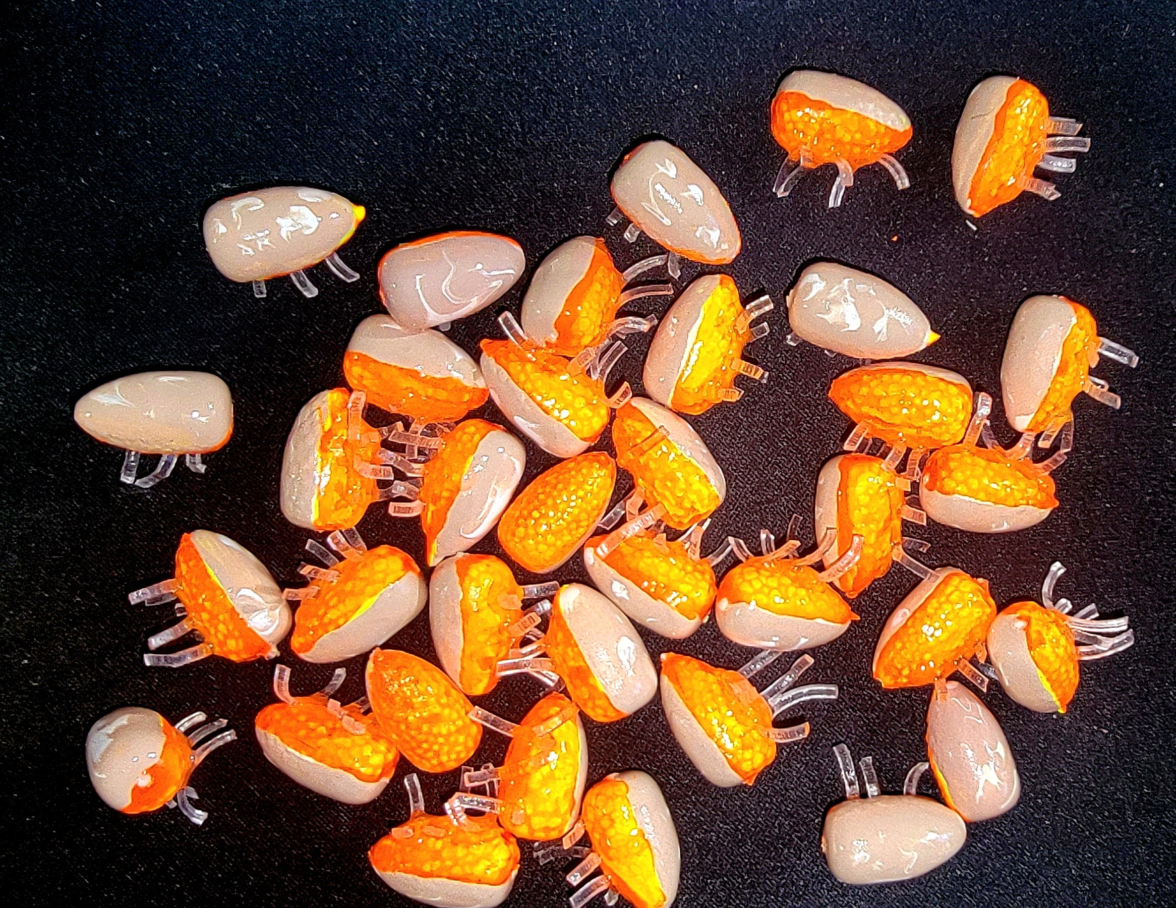 Sand Flea Series – Psycho's Surf Fishing Rigs & More