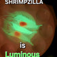 SHRIMPZILLA