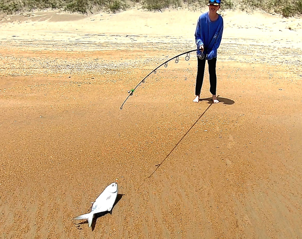 (Floating Clam) Lucas's Coquina Clam Rig