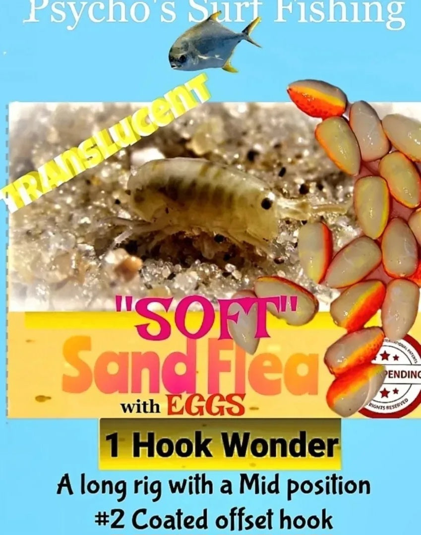 Soft Sand Flea  with Eggs