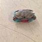 The Psycho Crab