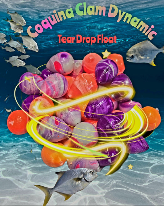 💲 Coquina Clam  🔥DYNAMIC🔥Tear Drop Float