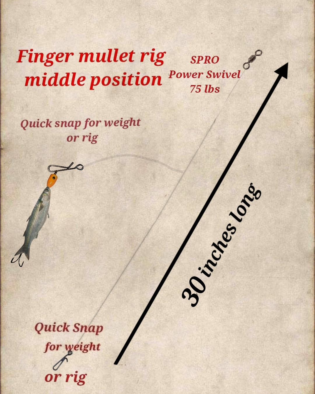 Two Position finger mullet rigs