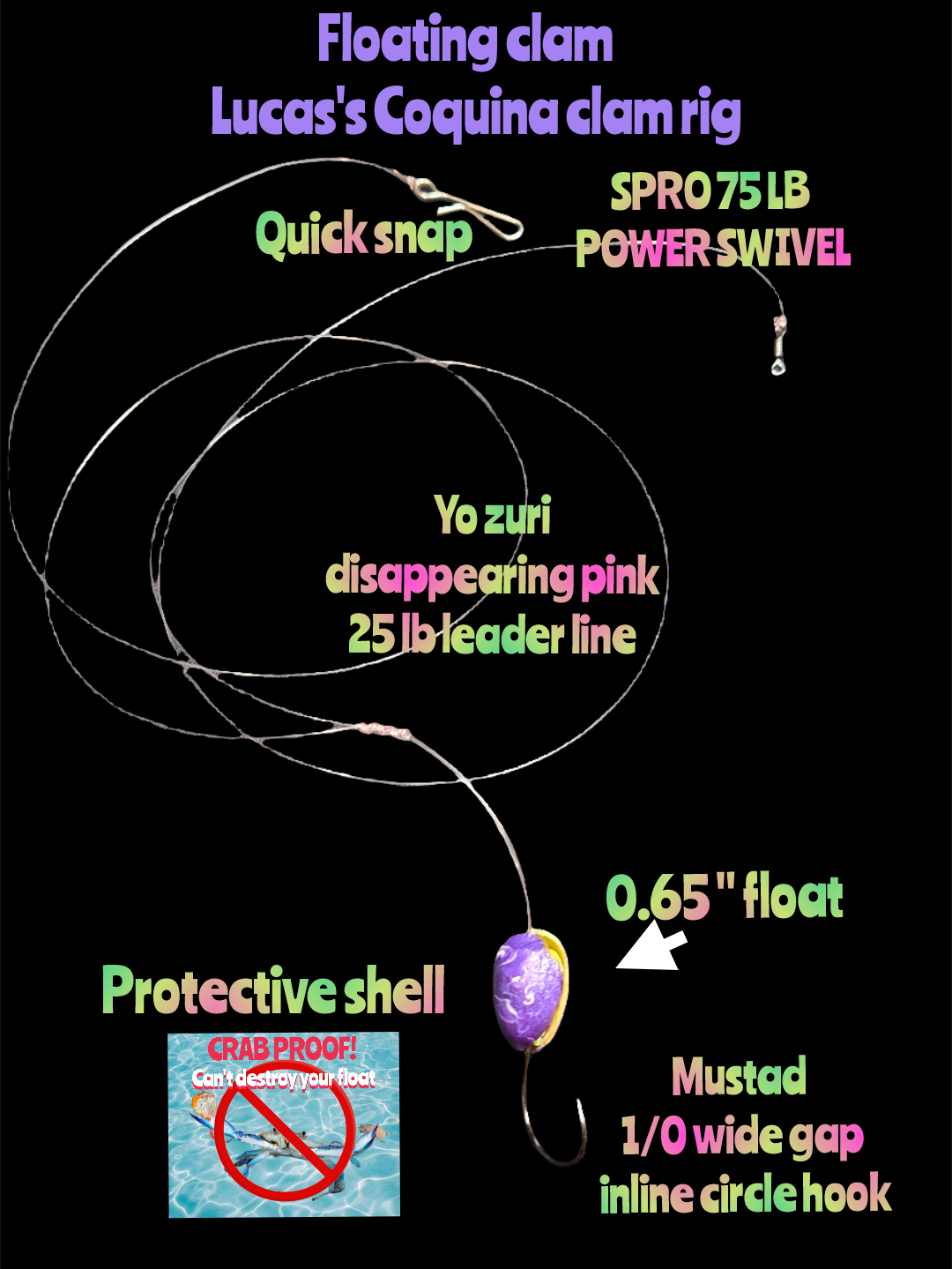 (Floating Clam) Lucas's Coquina Clam Rig