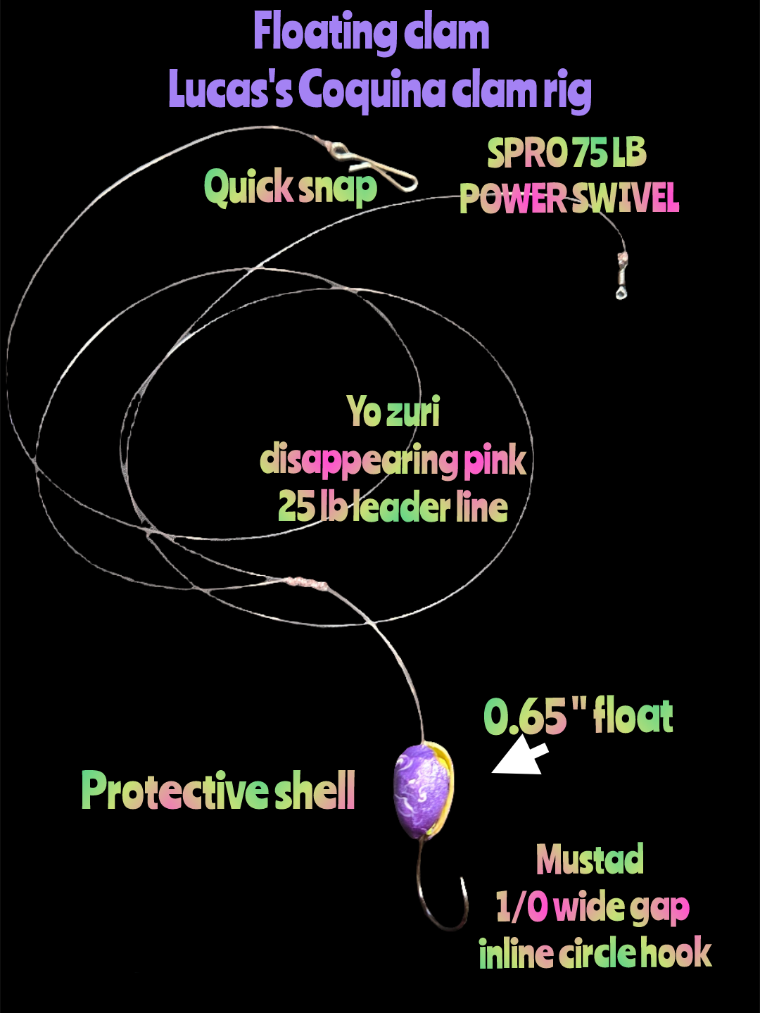 💲(Floating Clam) Lucas's Coquina Clam Rig