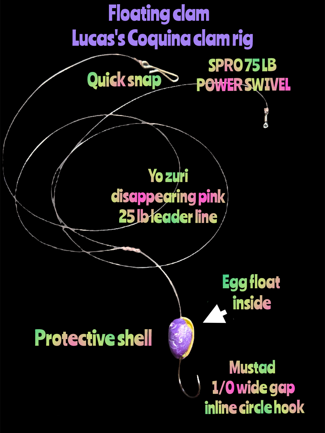 💲(Floating Clam) Lucas's Coquina Clam Rig
