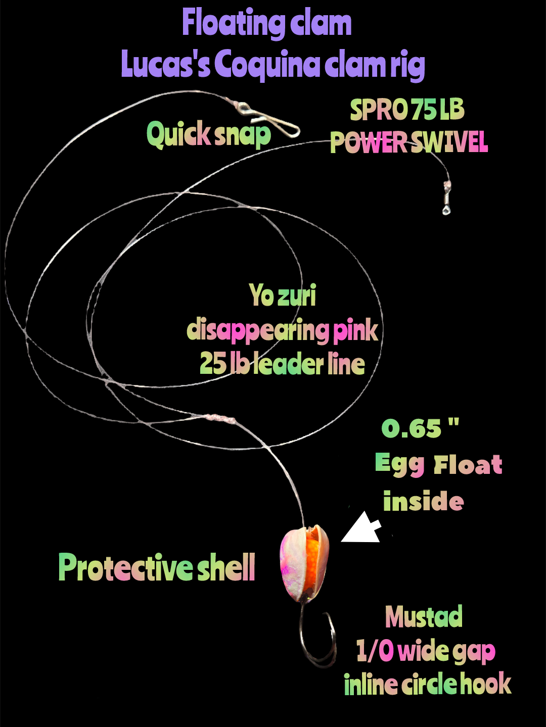 💲(Floating Clam) Lucas's Coquina Clam Rig