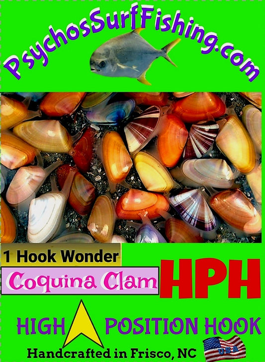 New for 2024  COQUINA CLAM ^HPH  High Position Hook -- You Select