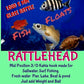 New FISH 👁 FLOATS RATTLEHEAD                               YOUR GO TO RIG FOR ANY FISH!