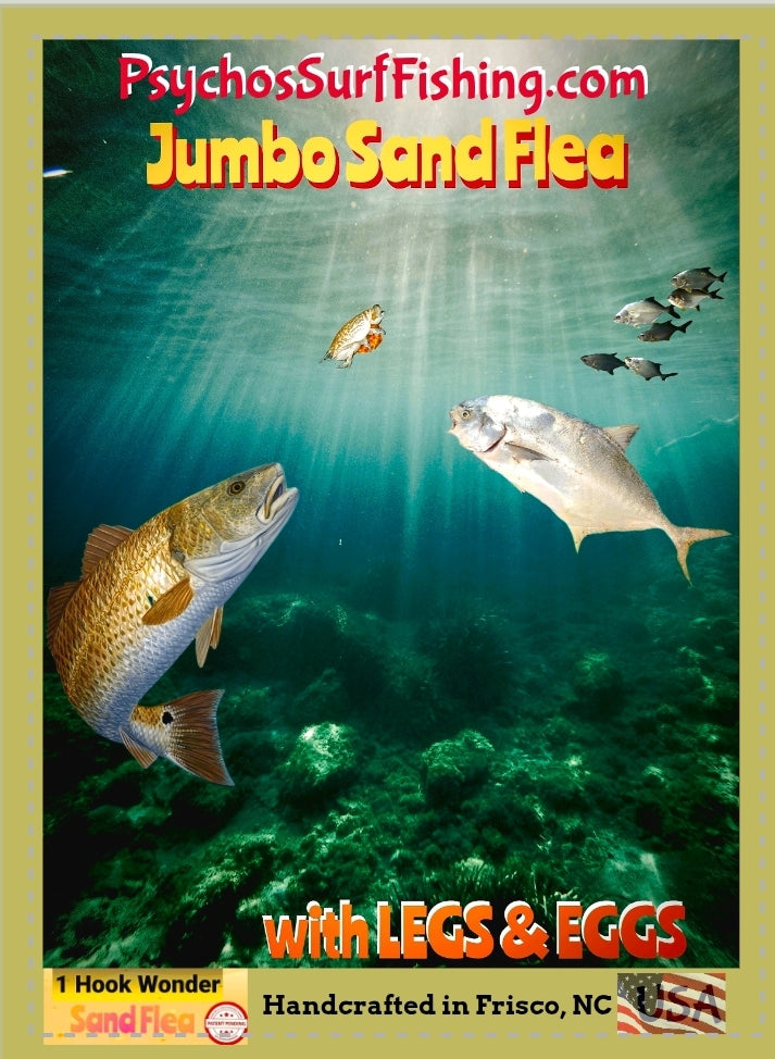 💲 JUMBO Sand Flea with legs and eggs