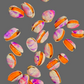 💲(Floating Clam) Lucas's Coquina Clam Rig