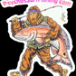 2025 Sticker Package
