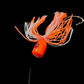 💲 FISH 👁 FLOATS                       RATTLEHEAD 🪇                          YOUR GO TO RIG FOR ANY FISH!
