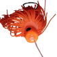 💲 FISH 👁 FLOATS                       RATTLEHEAD 🪇                          YOUR GO TO RIG FOR ANY FISH!