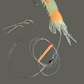 💲 Ghost Shrimp Float Rigs "Rattler" & VooDoo