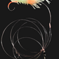 💲 Ghost Shrimp Float Rigs "Rattler" & VooDoo