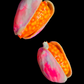 💲(Floating Clam) Lucas's Coquina Clam Rig