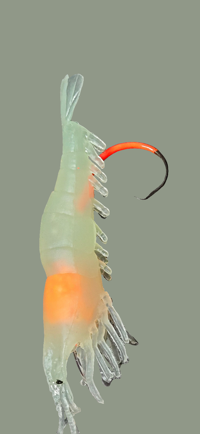 💲 Ghost Shrimp Float Rigs "Rattler"