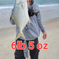 GOLD 'n' EGGs Pompano Rig