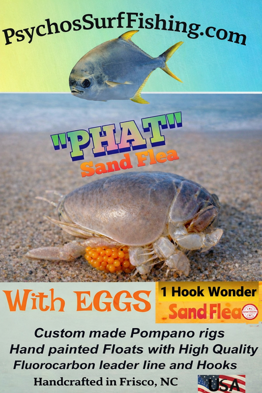"PHAT" Sand Flea with Eggs  Pompano Rig