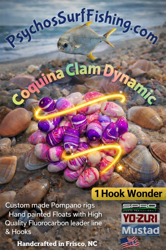 Coquina Clam   🔥DYNAMIC🔥
