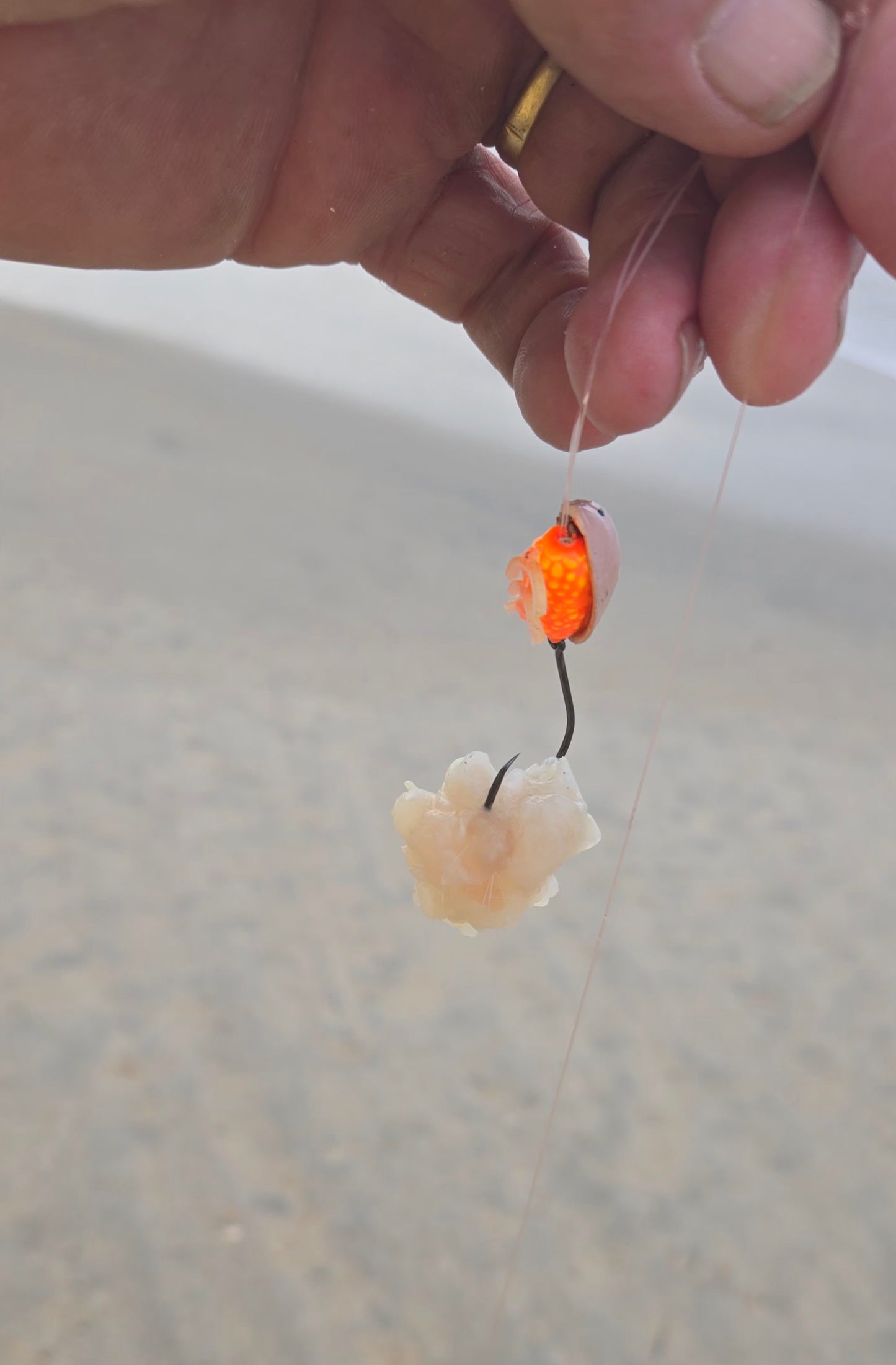THE SAND FLEA               (limited edition)