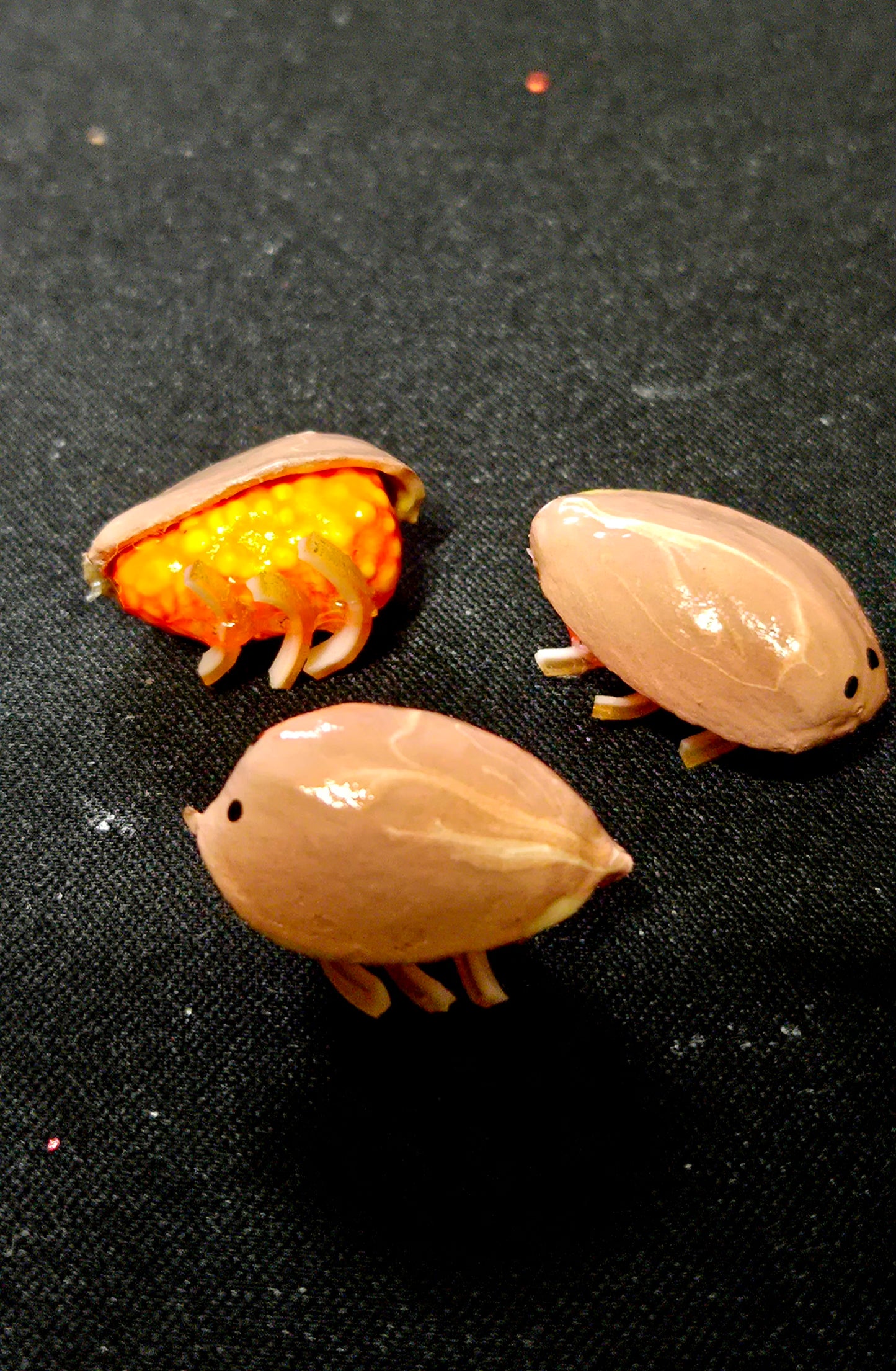THE SAND FLEA               (limited edition)