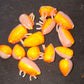 Discontinued / Imperfects custom painted Floats, Hooks